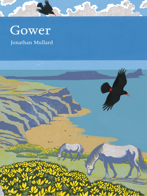 Title details for Gower by Jonathan Mullard - Available
